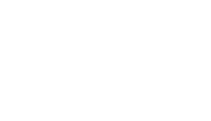 One Bout
